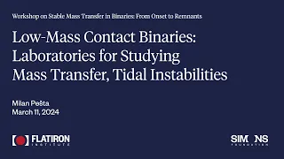 Stable Mass Transfer in Binaries Workshop - Milan Pešta (March 11, 2024)
