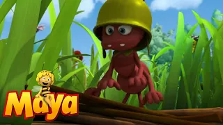 Henry‘s Cabin - Maya the Bee - Episode 62