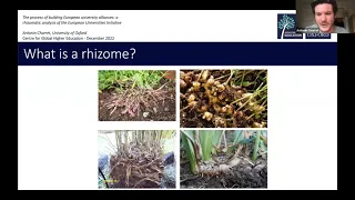 A rhizomatic analysis of the European Universities Initiative