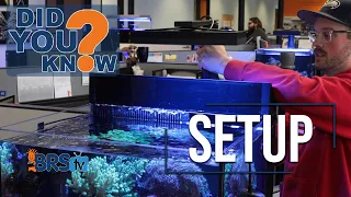 Reef Tank Lighting Is CRITICAL. 10 Tips to Set Up Aquarium Lights for Coral Success!