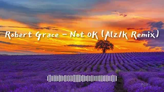 Robert Grace - Not OK (Alz1k Remix)