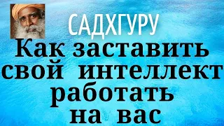 Садхгуру - Как заставить свой интеллект работать на вас.