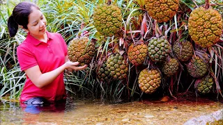 Harvest WATER PINEAPPLE Goes To The Market Sell - Sow Vegetable Seeds | Hanna Daily Life New