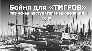 Бойня для "Тигров". Мгинская наступательная операция. 1943 г.