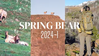 First Bear Hunt of 2024 | Hunt Weekly