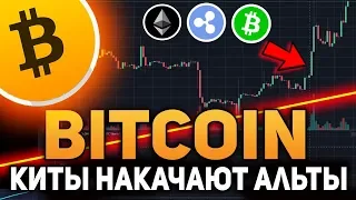 Биткоин Киты Накачают Альткоины! Рост Ethereum, Bitcoin Cash и Ripple Ноябрь 2018 Прогноз