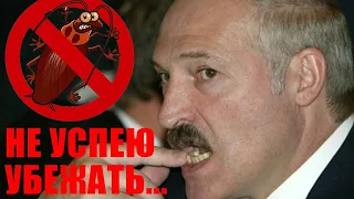 Лукашенко не успел убежать. Новости ябатек №6