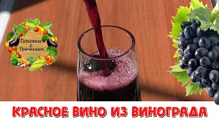 РЕЦЕПТ ДОМАШНЕГО ВИНА КРАСНОГО ПОЛУСЛАДКОГО ИЗ ВИНОГРАДА / ПОШАГОВЫЙ РЕЦЕПТ