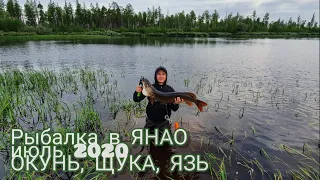 Рыбалка в ЯНАО (июль 2020). Щука, окунь, язь. Поймали крокодила на 5,5 кг!