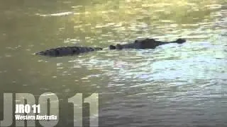 Crocodile movie Compilation 1.m4v