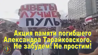 В Минске у станции метро "Пушкинская" многотысячная акция памяти 34-летнего Александра Тарайковского