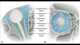 SURGICAL SPACES IN ORBIT