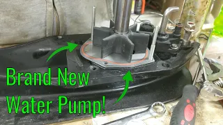 Mercruiser Water Pump Replacement -- Mercruiser Gimbal Ring Replacement Ep 10