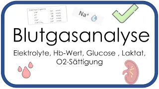 Blutgasanalyse - Elektrolyte, Hb-Wert, Glucose , Laktat, O2-Sättigung - Teil 3