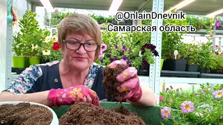 Буквально на 5 минут, Поговорить