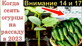 Когда сеять огурцы на рассаду в 2023 году по лунному календарю. Посевной календарь на 2023 таблица.