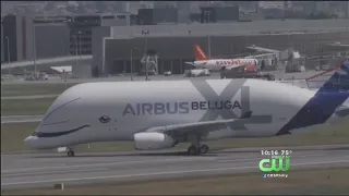 Airbus Beluga XL Takes Flight With A New Look