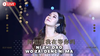 Ni Zhi Dao Wo Zai Deng Ni Ma 《你知道我在等你吗》Desy Huang 黄家美