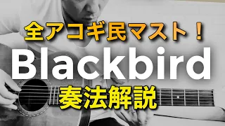 YouTubeの８割が間違っている？！ビートルズ「Blackbird」徹底解説！