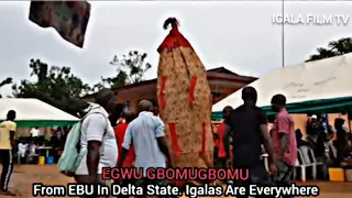 EGWU GBOMUGBOMU (WONDER MASQUERADE). From EBU in Delta State. Igalas Are Everywhere.