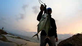 בריחה מטורפת וטרחונים תוקפניים. huge king mackerel escape & blue runners