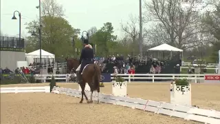 William Fox-Pitt & Chilli Morning - Rolex 2013 Dressage