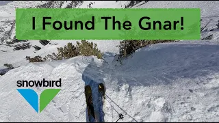 Snowbird | Cirque Series Guide - Skier POV from the Ridge | 525" of Snowfall