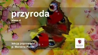 Klasa 4 - Przyroda -  krajobraz