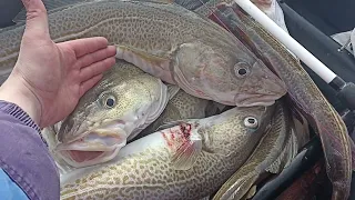 Рыбалка в Тириберке, Баренцево море, апрель 2022