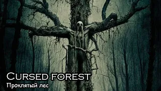 Проклятый лес / Cursed forest (2018)