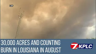 30,000 acres and counting burn in Louisiana amid 'unprecedented' wildfire danger