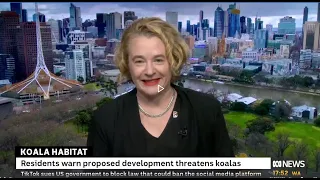 ABC Interview: Nature-positive cities and suburbs - Professor Sarah Bekessy at RMIT University