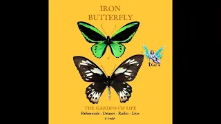 Iron Butterfly - Garden of life 6