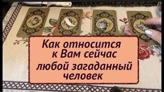 Как относится к Вам сейчас загаданный человек‼️Таро он-лайн Fortune-telling@TianaTarot