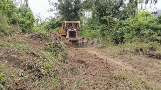 Caterpillar D6R XL bulldozer operator is very good at cleaning plantation roads