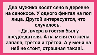 Жена Председателя Трется об Чужого Мужика! Сборник Свежих Смешных Жизненных Анекдотов!