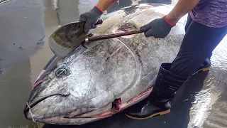 $35,000 / 400KG Giant Bluefin Tuna Cutting Skills , Luxurious sashimi !!