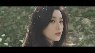 Louis Vuitton FanBingbing