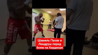 Шамиль Пахан и Лендруш перед боем на Хардкоре