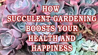 Unlocking Wellness: How Succulent Gardening Boosts Your Health and Happiness