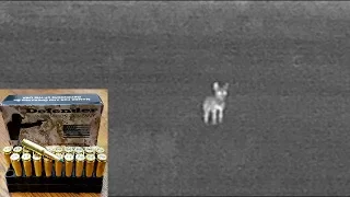 2 Coyotes with Grendel Sierra TMK 107 gr.