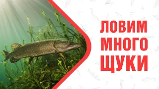 Ловим Много Щуки !!!  (Рыбалка на спиннинг с лодки)