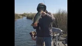 California Delta Bass Fishing--Search for the Early Spring Bite, part 1