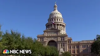 Texas court hears emotional testimony on the state's abortion ban