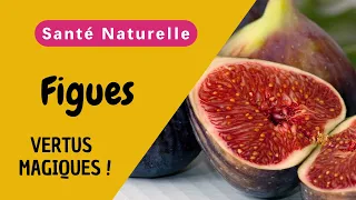 Les Incroyables Bienfaits des Figues pour la Santé et Leurs Utilisations Médicinales