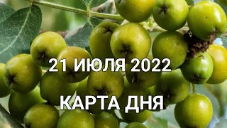 21 июля 2022 | карта дня | все знаки зодиака 🃏🍀💫