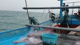 Amazing Gill Net Fishing Line On the Boat #03