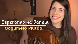 Esperando na Janela - Cogumelo Plutão || Marina Aquino