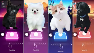 Cute Cats VS Dogs!! Baby Shark - Shakira Waka Waka TilesHop Edm Rush!!