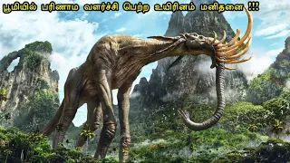 95% மனித இனம் அழிவு 🤯⁉️ | mr tamilan | tamil voice over | hollywood movie story & review in tamil